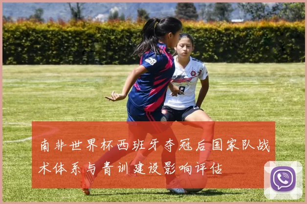 南非世界杯西班牙夺冠后国家队战术体系与青训建设影响评估