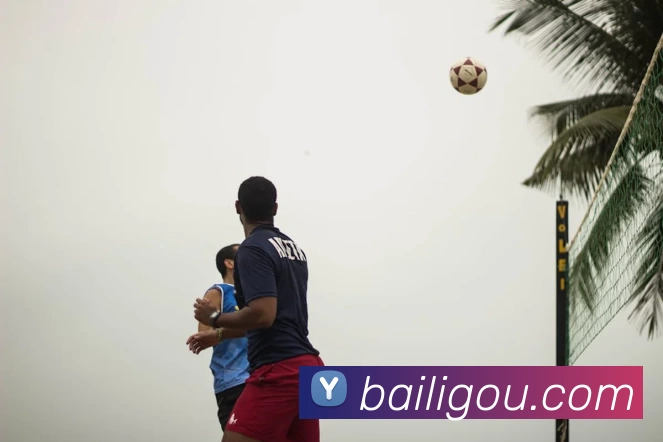 BSport(必一·运动)官方网站平台生态图